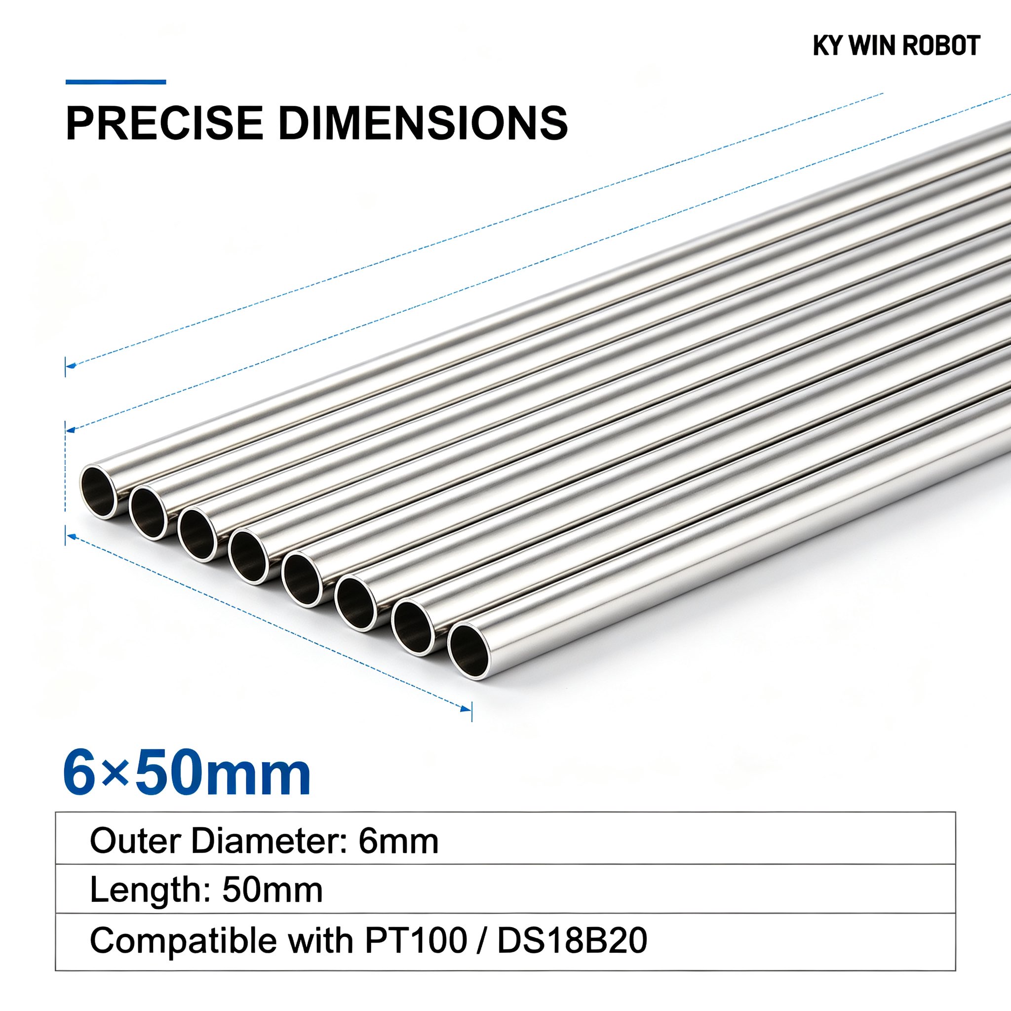 10Pcs 6*50mm Stainless Steel B - Ds18B20 recension och pris